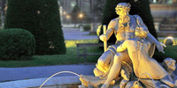 IIC Congress Vienna